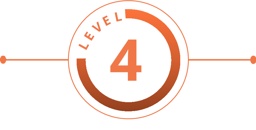 Level 4 Content