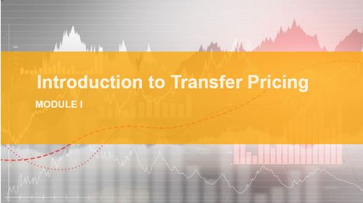 Beginner's course on Transfer Pricing